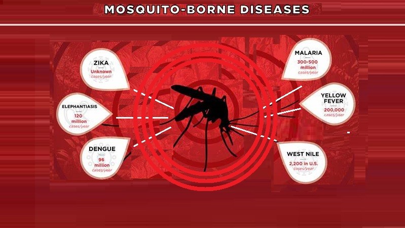 Mosquito shown with mosquito-borne disease information