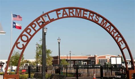 Mosquito control in Coppell, TX