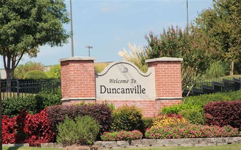 Mosquito control in Duncanville, TX