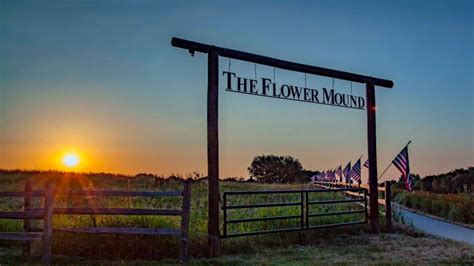 Mosquito control in Flower Mound, TX