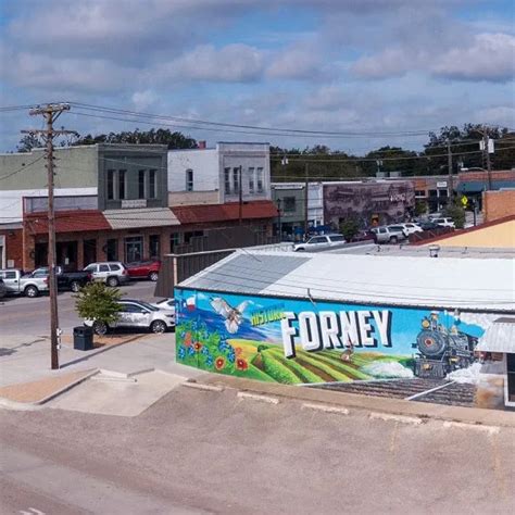 Mosquito control in Forney, TX