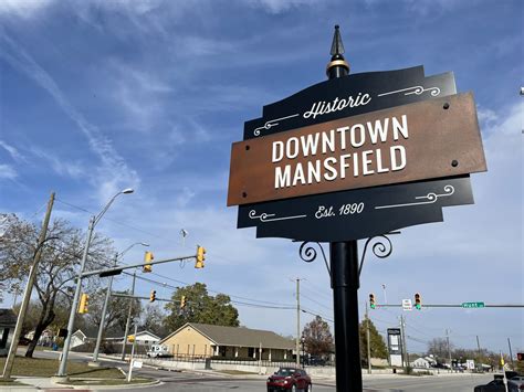 Mosquito control in Mansfield, TX
