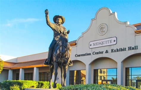 Mosquito control in Mesquite, TX
