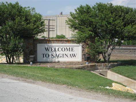 Mosquito control in Saginaw, TX